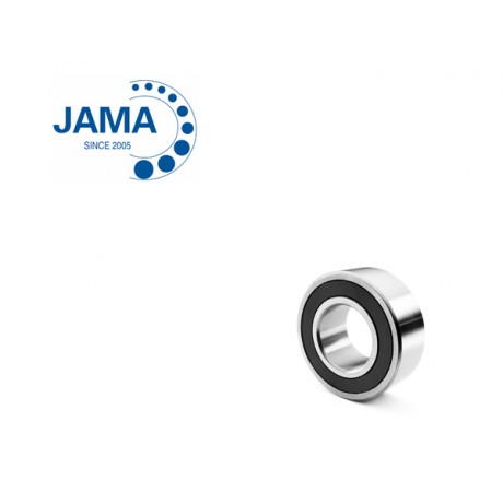 3309 2RS - JAMA