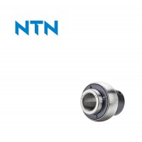 AEL205-100D1 - NTN