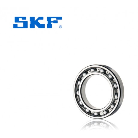 6020 - SKF